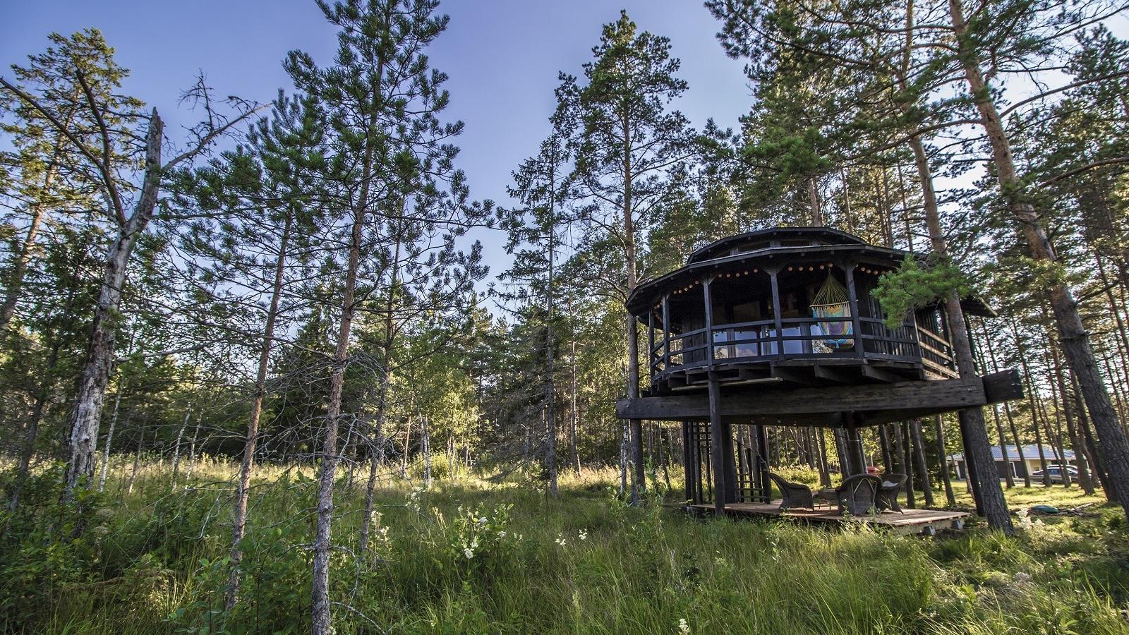 Размещение в доме на дереве Sambliku | Harjumaa Turism | Visitharju