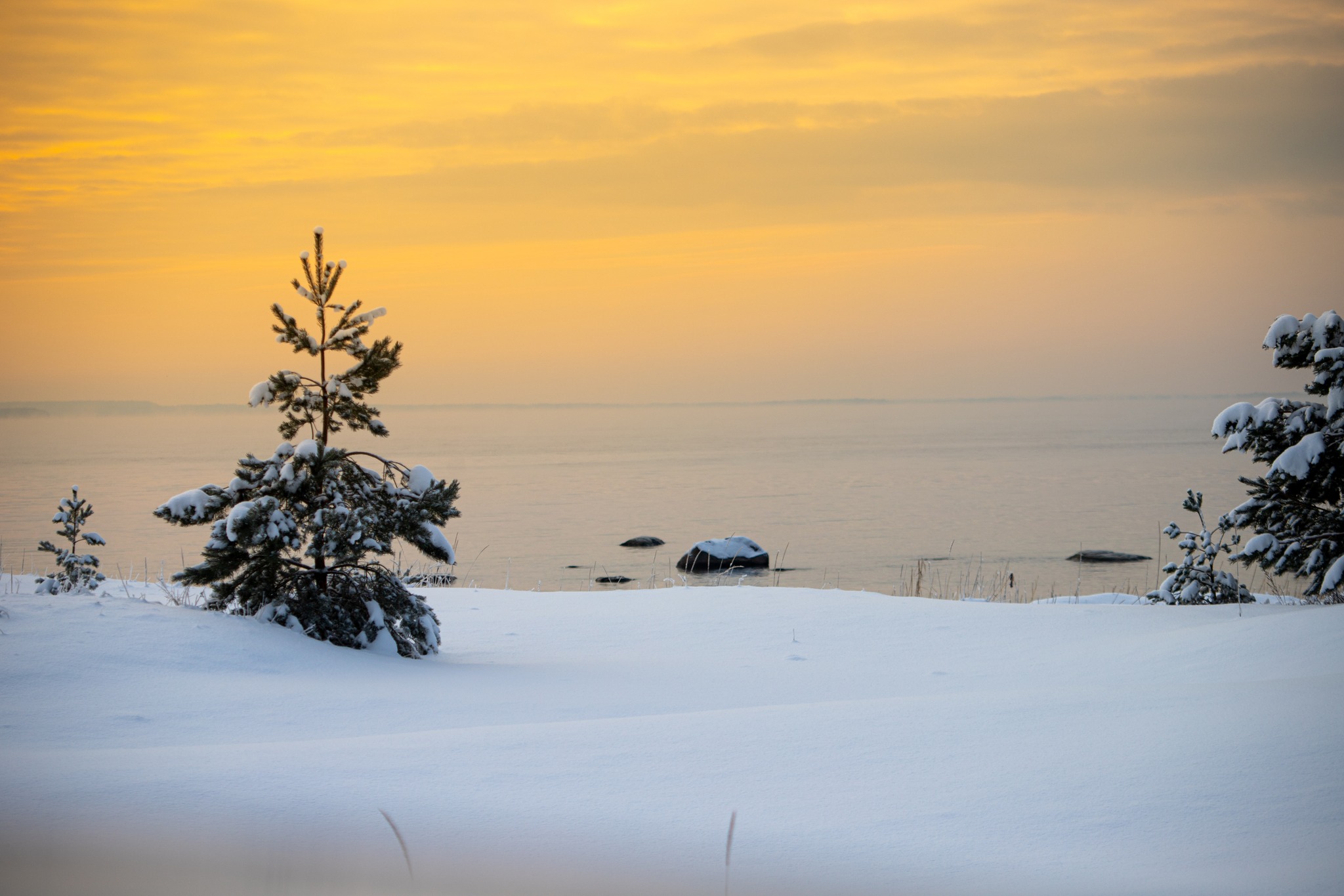 Leesi rand paksu lume sees, oranž taevas