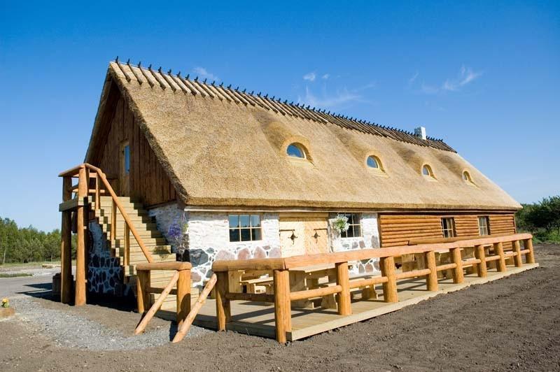 Viikingite küla linnuselahing