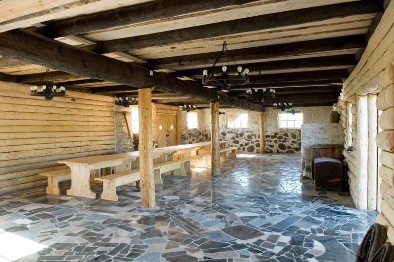 Viikingite küla linnuselahing