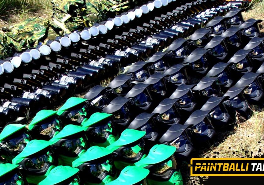 Viikingite küla linnuselahing